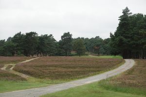 Sunningdale (New) 8th